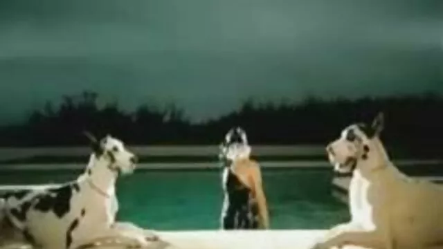 Super lindo coreano gf porn español gay